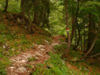 2014-08-02_06FritzPflaum-Steig (398).JPG
